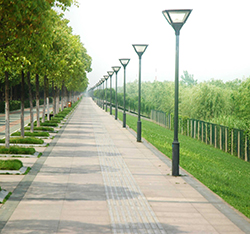 校外風景及路線圖